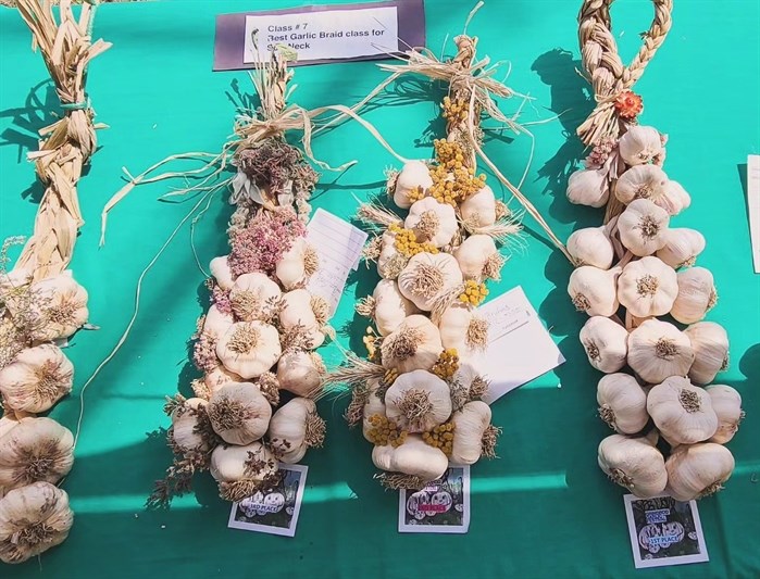 Fun festivals for foodies in Okanagan, Kamloops | iNwine