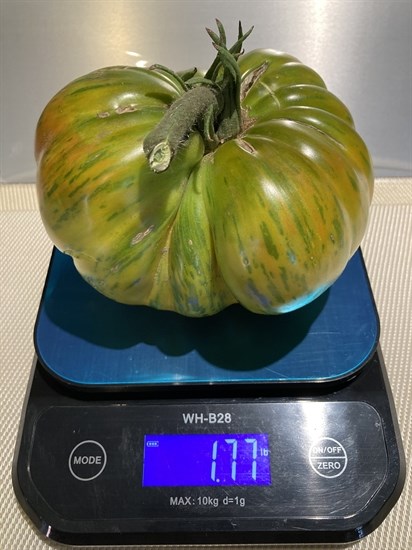 iN PHOTOS: Wonky vegetables emerge in Kamloops, Okanagan | iNFOnews.ca iN PHOTOS: Wonky vegetables emerge in Kamloops, Okanagan | iNFOnews.ca