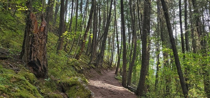 iN PHOTOS: A peek into magical landscapes in Kamloops, Okanagan | iNFOnews.ca