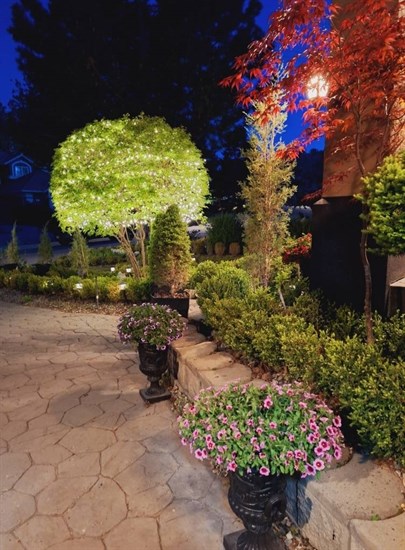 iN PHOTOS: Stunning European-inspired garden blooms at Kelowna B&B | iNFOnews.ca iN PHOTOS: Stunning European-inspired garden blooms at Kelowna B&B | iNFOnews.ca