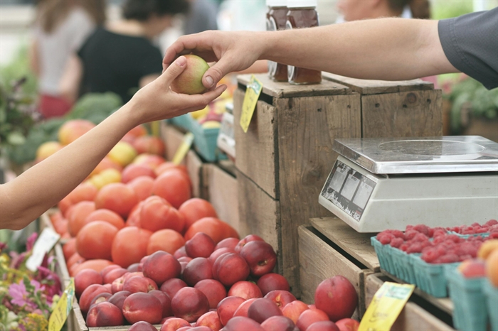 Kaslo woman denied farmers' market stall blames 'spiritually violent people' in court | iNFOnews.ca Kaslo woman denied farmers' market stall blames 'spiritually violent people' in court | iNFOnews.ca