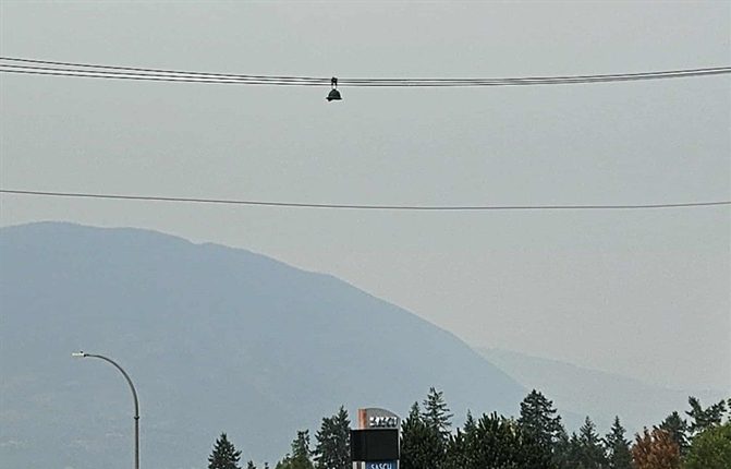 Why green hard hats hang from power lines in BC | iNFOnews.ca Why green hard hats hang from power lines in BC | iNFOnews.ca