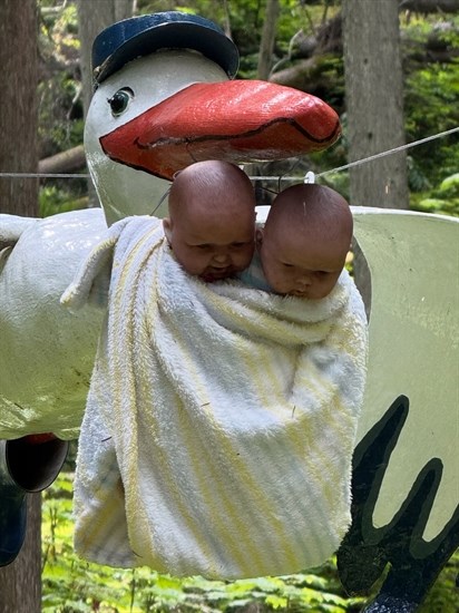 iN PHOTOS: Freaky figurines lurk in an Enchanted Forest near Revelstoke | iNFOnews.ca iN PHOTOS: Freaky figurines lurk in an Enchanted Forest near Revelstoke | iNFOnews.ca