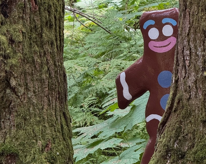 iN PHOTOS: Freaky figurines lurk in an Enchanted Forest near Revelstoke | iNFOnews.ca iN PHOTOS: Freaky figurines lurk in an Enchanted Forest near Revelstoke | iNFOnews.ca