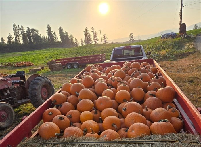 iN PHOTOS: Fall fun for families in Okanagan, Kamloops | iNFOnews.ca