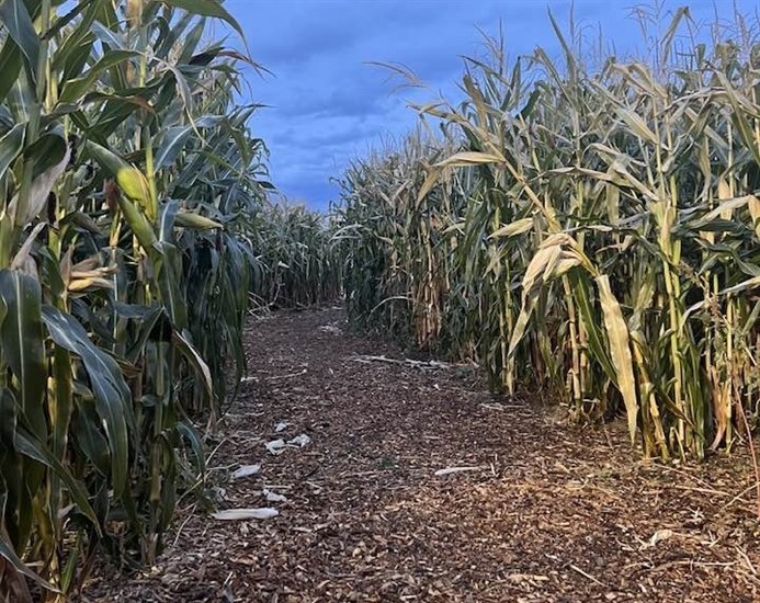 iN PHOTOS: Fall fun for families in Okanagan, Kamloops | iNFOnews.ca