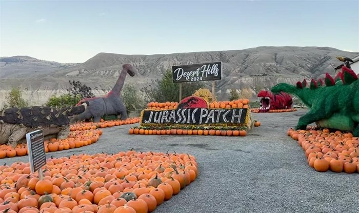 iN PHOTOS: Fall fun for families in Okanagan, Kamloops | iNFOnews.ca