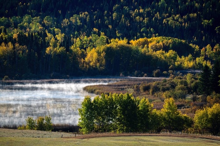 iN PHOTOS: Why autumn leaves change colour in Kamloops, Okanagan | iNFOnews.ca