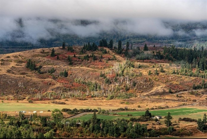 iN PHOTOS: Why autumn leaves change colour in Kamloops, Okanagan | iNFOnews.ca