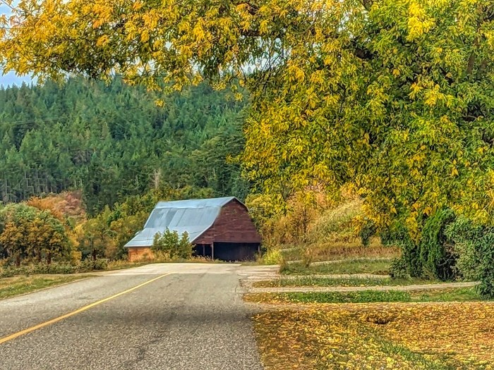 iN PHOTOS: Why autumn leaves change colour in Kamloops, Okanagan | iNFOnews.ca