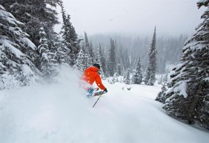 A skier in some powder with an orange jacket on.
