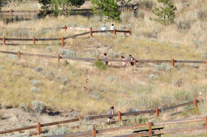 Prescribed burn at Knox Mountain this week if weather permits | iNFOnews.ca People hiking up Knox Mountain.