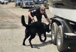 A conservation officer and their dog inspecting a boat for invasive mussels.