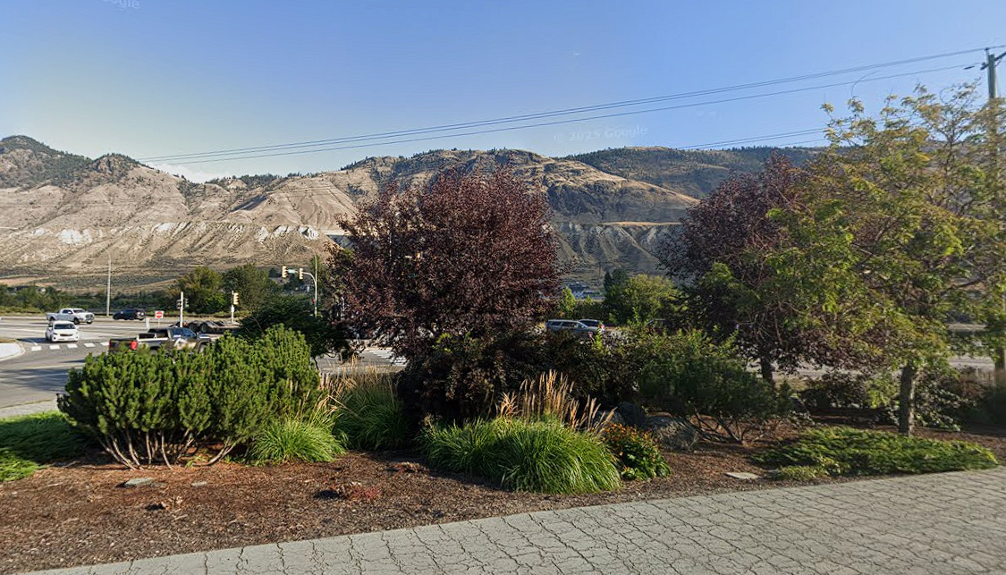 'SYMBOLS OF NEGLECT': Why Kamloops councillors left this city entrance to the weeds | iNFOnews.ca