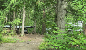A trailer and a covered pickup in a forest.