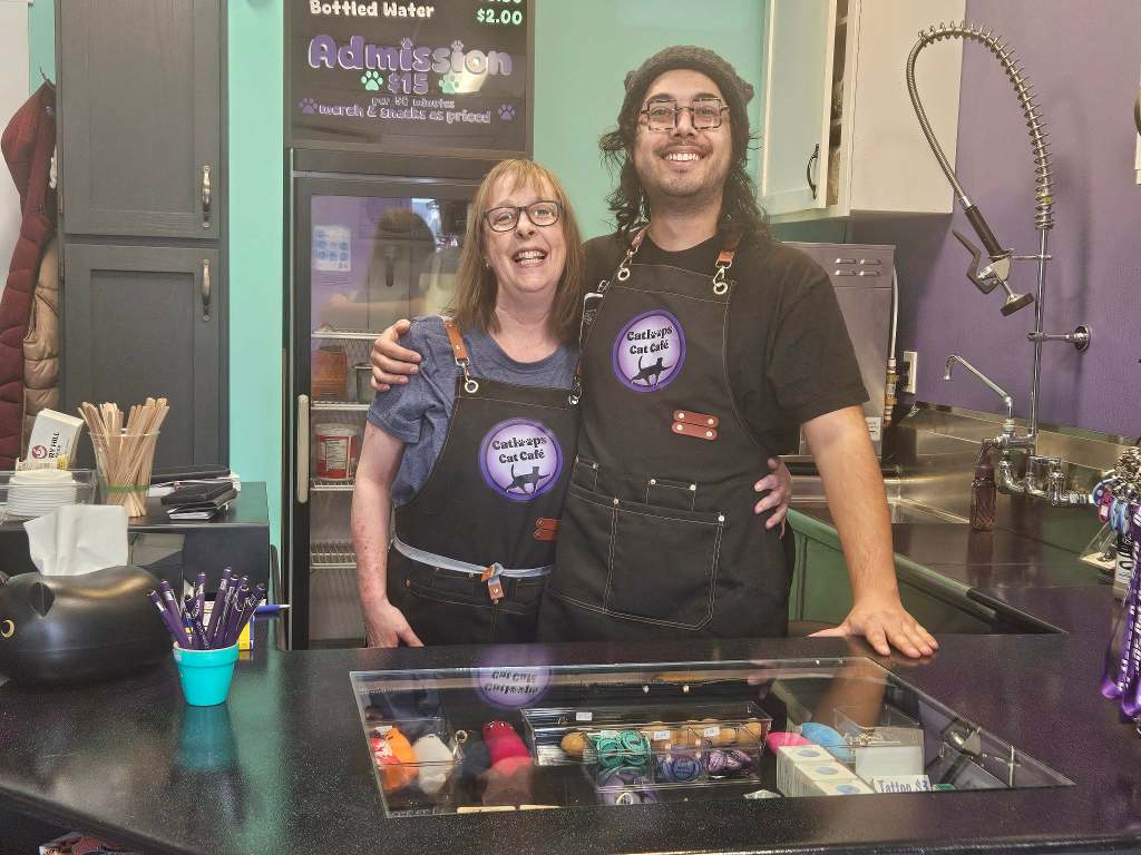 Forgotten felines get second chance at Kamloops' first cat cafe | iNwine Forgotten felines get second chance at Kamloops' first cat cafe | iNwine