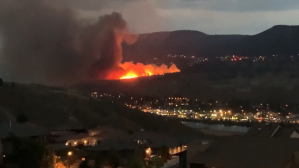 Image of a wildfire near a suburban neighbourhood.