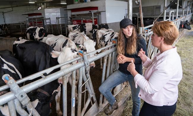 Ottawa announces $1.75B to compensate dairy farmers for impact of trade deals | iNFOnews.ca Ottawa announces $1.75B to compensate dairy farmers for impact of trade deals | iNFOnews.ca