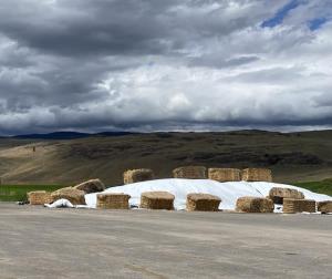 Hay bales and covered in white plastic wrap on a farm.