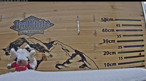 A snow measurement board showing less than 10 cm of snow.